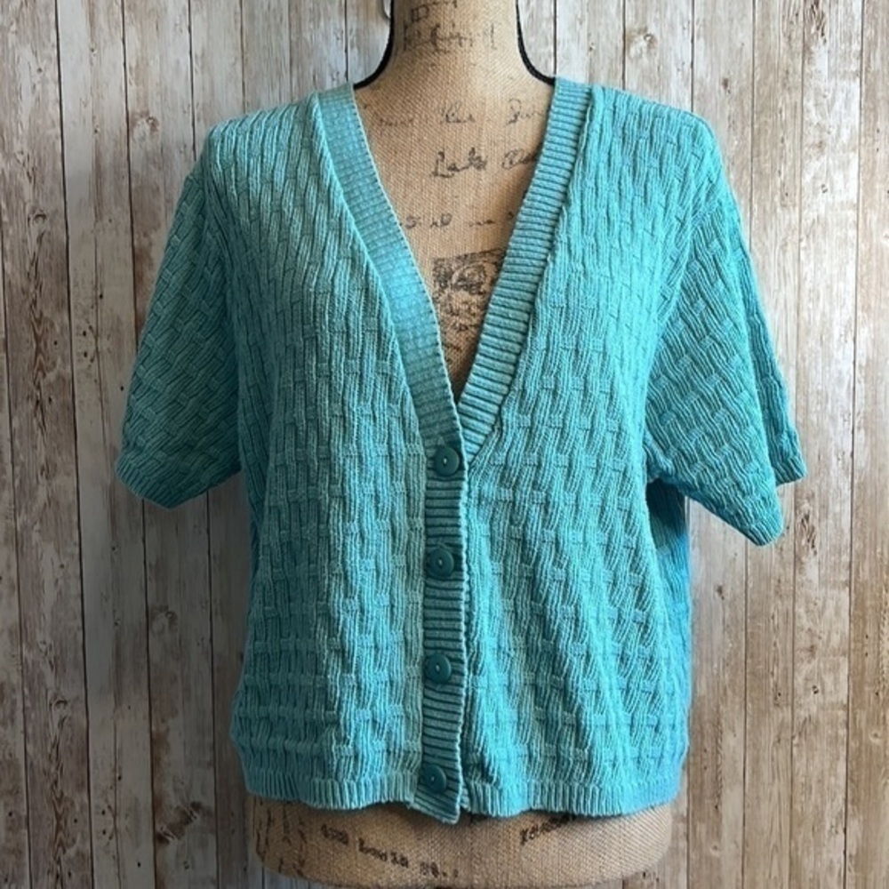 🐺LEA Apparel Teal V-Neck Short Sleeved Sweater